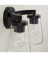 Aaron 2-Light Vanity Matte Black