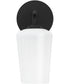 Celino 1-Light Wall Sconce Black