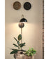 Lou 1-Light Medium Single Light Sconce in Black