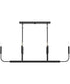 Reines 6-Light Linear Chandelier Matte Black