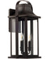 Downey Outdoor Wall Lantern Wall Mount Light Fixture Bronze