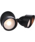LED Flood 2-Light Outdoor Lighting Bronze