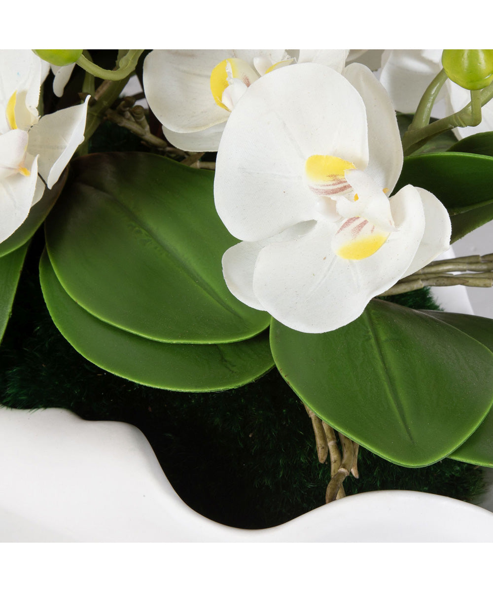 Opulence Orchid Centerpiece With Bowl