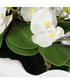 Opulence Orchid Centerpiece With Bowl