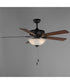 Super-Max 52 inch Ceiling Fan with 2-Light Kit Black