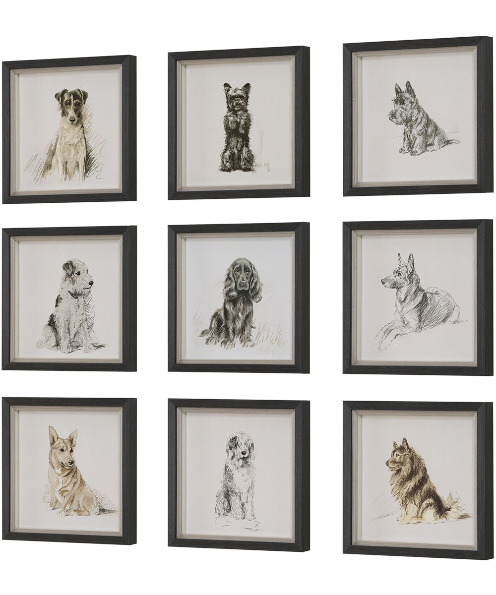 Loyal Companion Framed Dog Prints, Set of 9