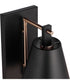 Blake 1-Light Lighting Flat Black/Satin Brass