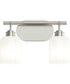 Reines 2-Light Bath Vanity with Opal Glass Shades Brushed Nickel