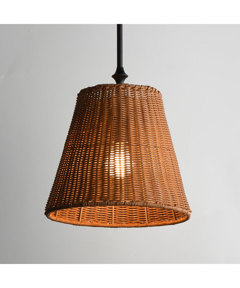Baja 12 inch Single Pendant Dark Bronze