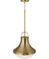 Arlo 1-Light Pendant Aged Brass