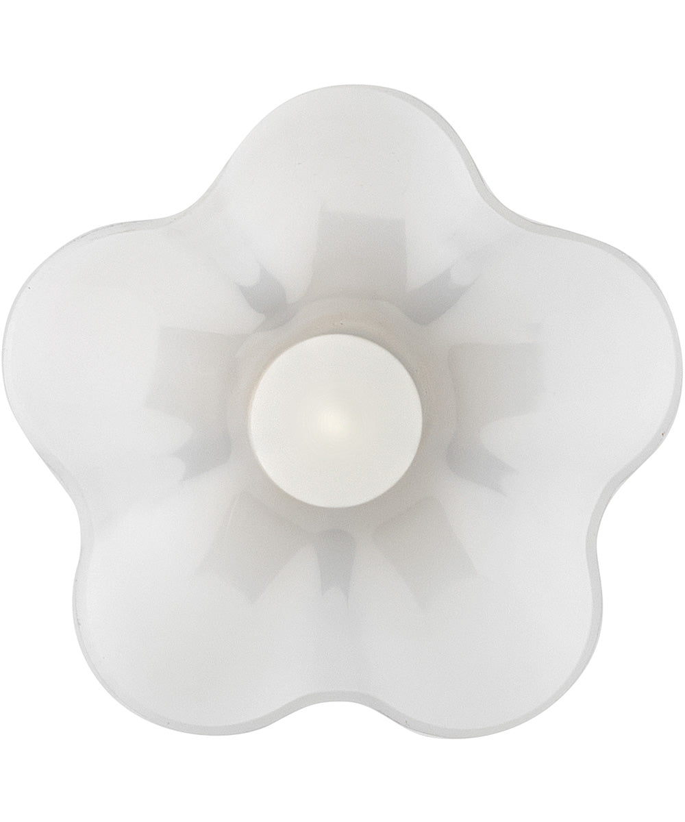 Honey 1-Light Small Pendant in Black