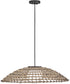 Arlen 1-Light Large Hanging Pendant in Black
