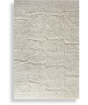 Miramar Cozy Shag 6 X 9 Rug