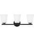Bri 3-Light Medium Three Light Vanity in Black
