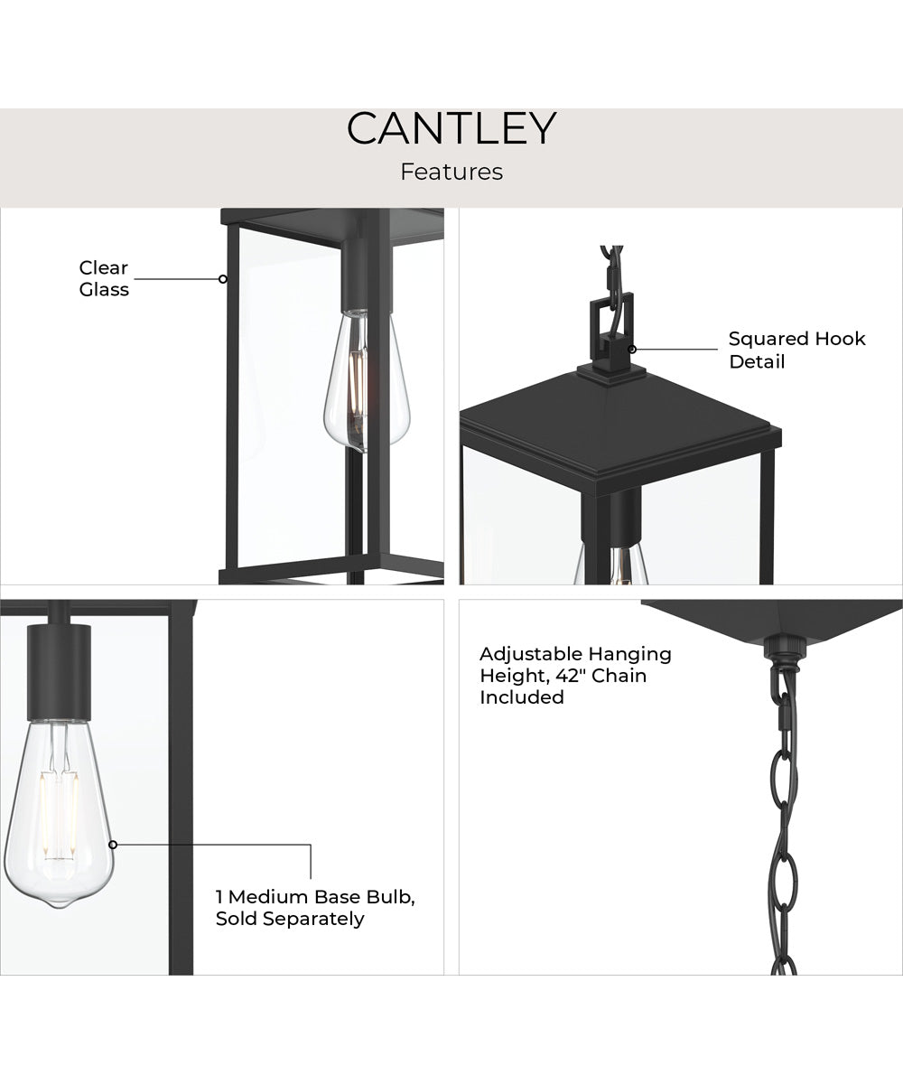 Cantley Outdoor Pendant with Clear Glass Panels Matte Black