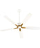 Ceiling Fans with Lights