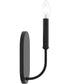 Reines 1-Light Wall Sconce Matte Black