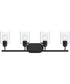 Reines 4-Light Bath Vanity with Clear Glass Shades Matte Black