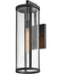 Alfie 1-Light Medium Wall Mount Lantern in Black