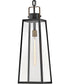 Hugh 1-Light Large Hanging Lantern in Black