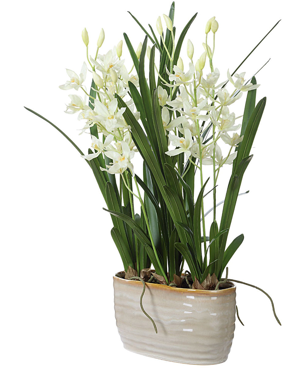 Ariana Orchid Planter