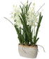 Ariana Orchid Planter