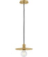 Lulu 1-Light Small Convertible Pendant in Lacquered Brass