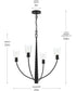 Jheni 4-Light Chandelier with Clear Glass Shades Matte Black