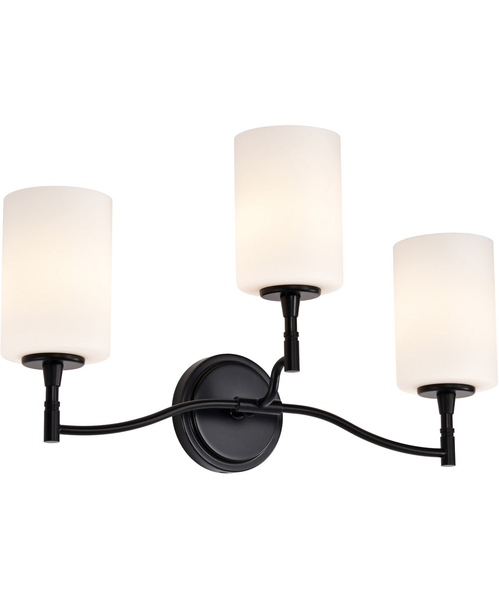 Liam 3-Light Vanity & Wall Matte Black