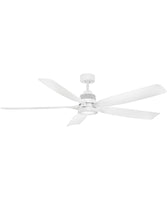 Ceiling Fans with Lights