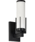 Roselle 1-Light Vanity & Wall Matte Black