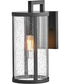 Alfie 1-Light Small Wall Mount Lantern in Black