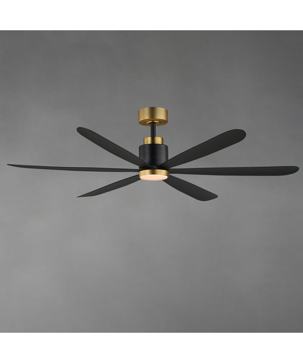 Petals 60 inch 6-Blade Fan w LED Black / Gold