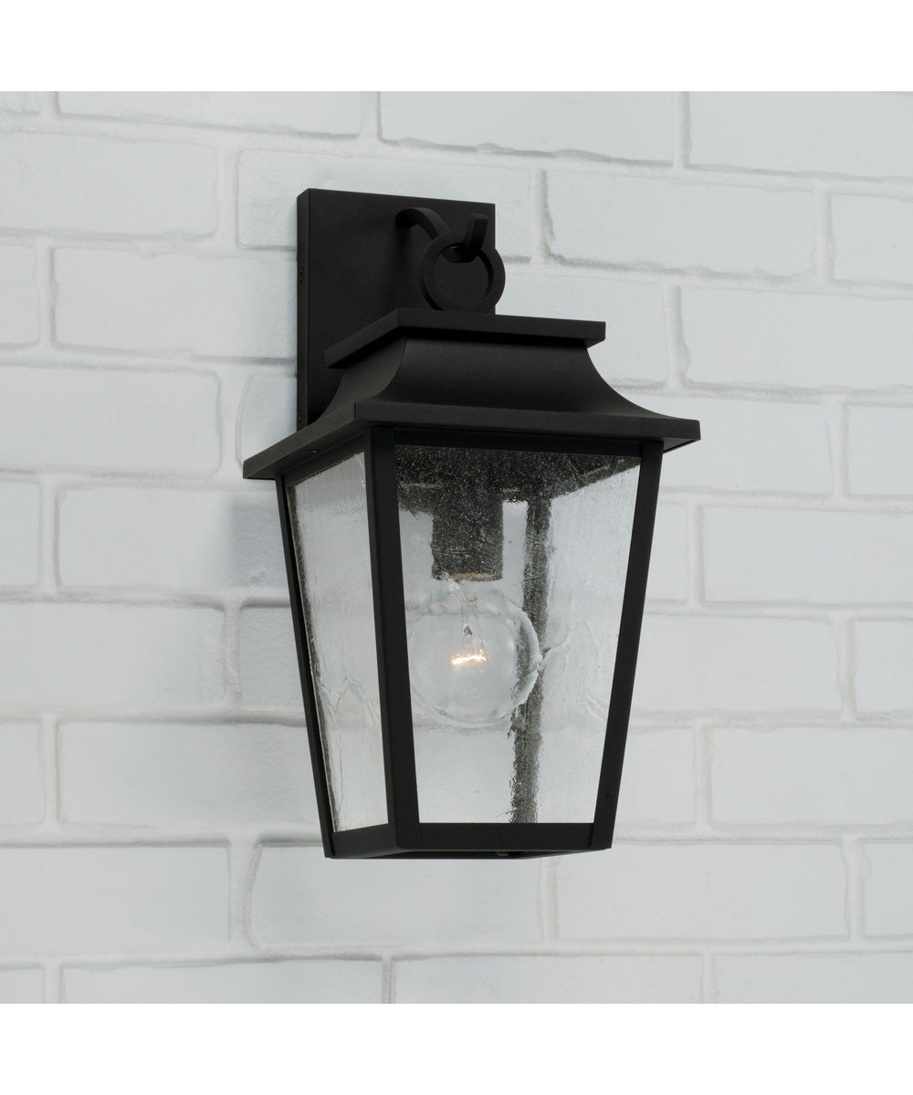 Chandler 1-Light Outdoor Wall-Lantern Black
