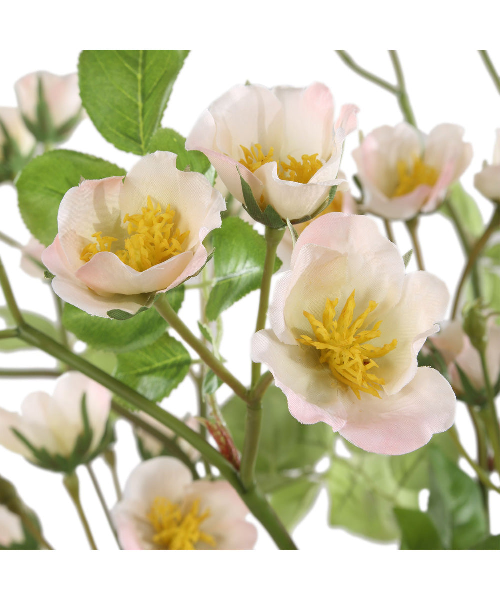 Tranquility Lenten Rose Bouquets Set of 2