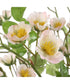 Tranquility Lenten Rose Bouquets Set of 2
