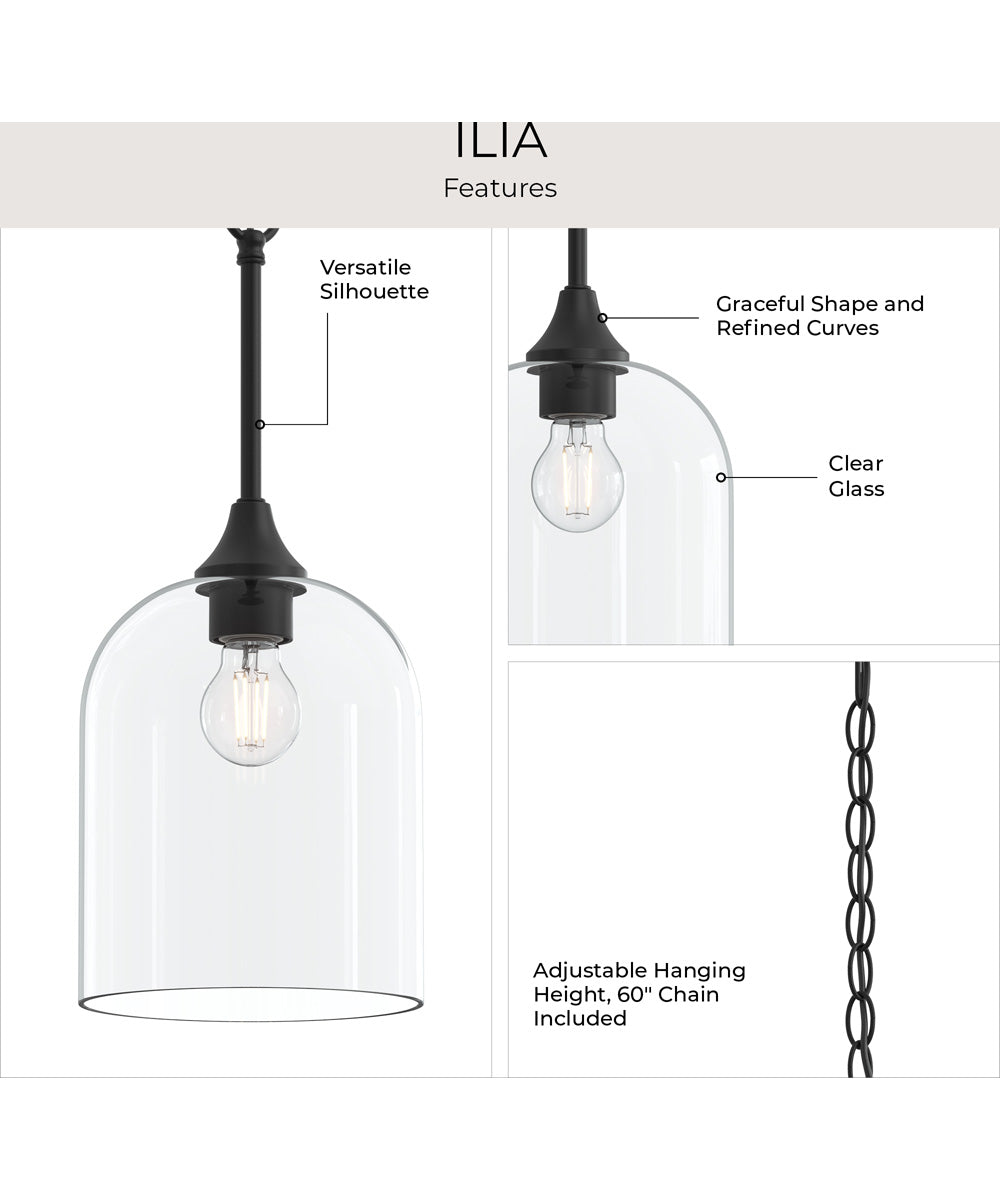 Ilia 1-Light Pendant with Clear Glass Shade Matte Black