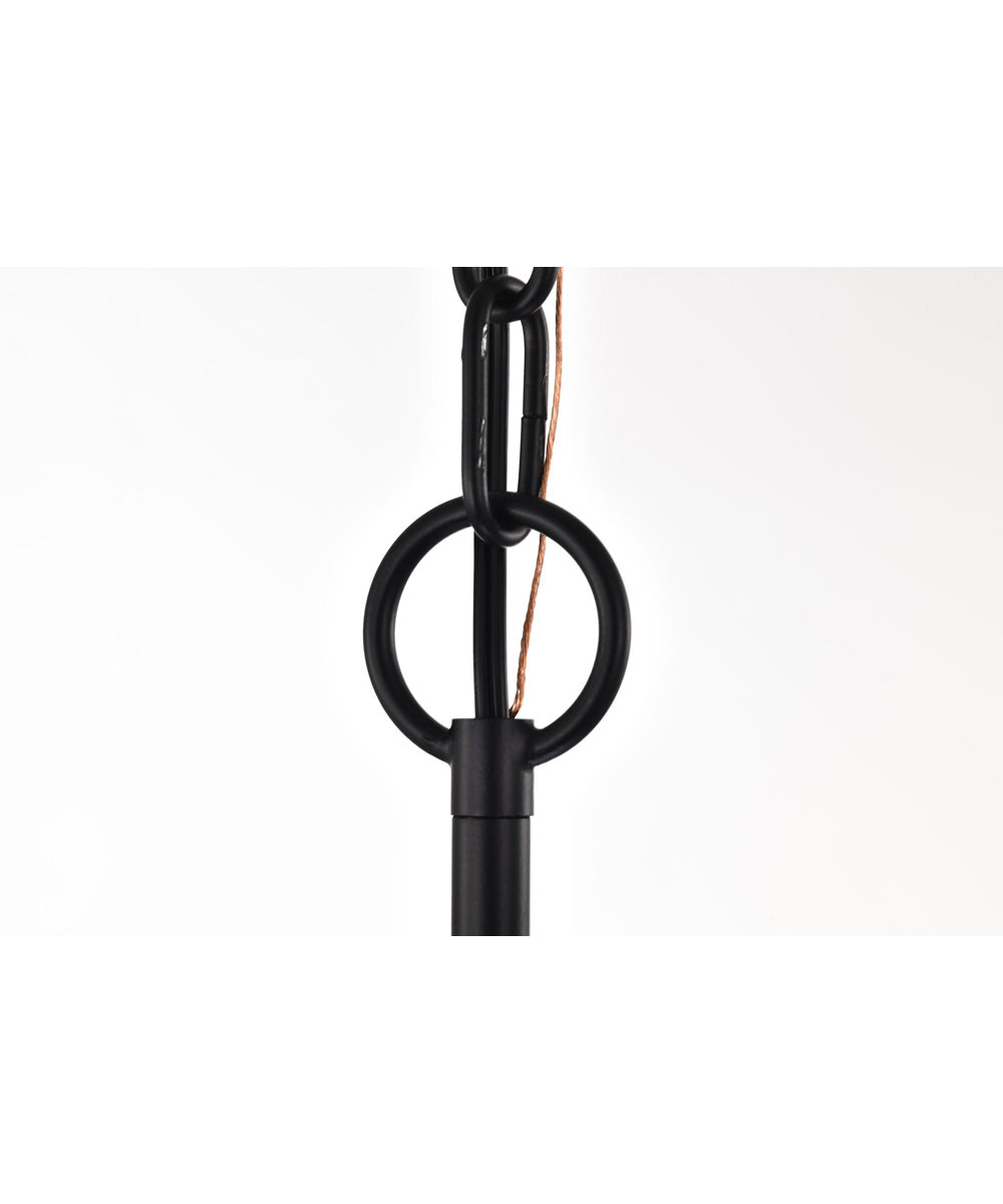 Liam 1-Light Pendant Matte Black