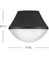 Haddie 1-Light Small Flush Mount in Black