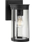 Belden 1-Light Medium Modern Farmhouse Medium Outdoor Wall Lantern Black