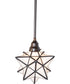 10" Wide Moravian Star Pendant