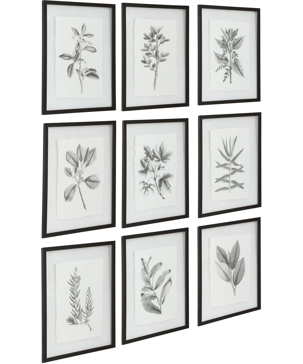 Farmhouse Florals Framed Prints Set/9