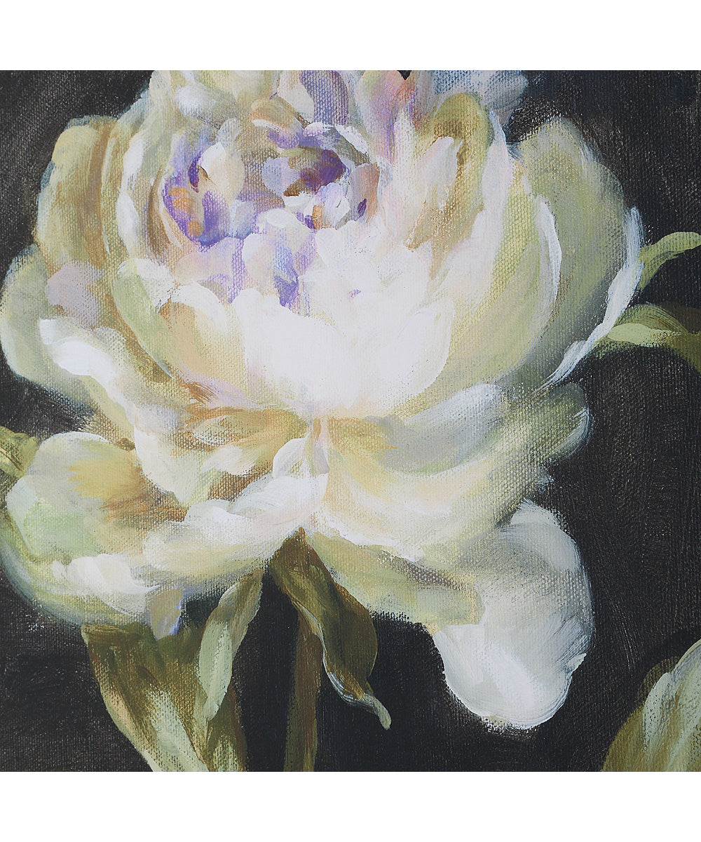 Florals On Black Framed Prints, Set of 4