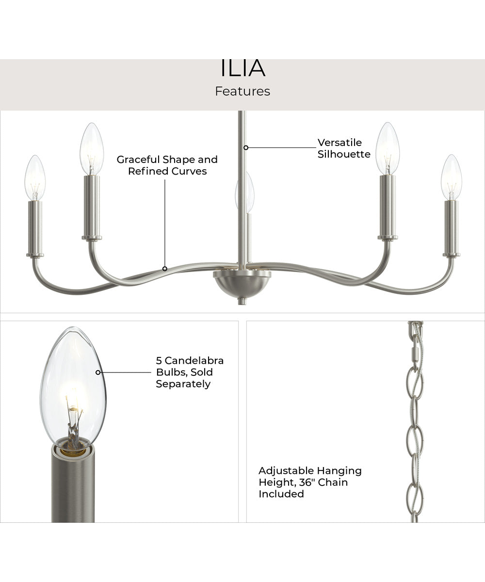 Ilia 5-Light Chandelier Brushed Nickel