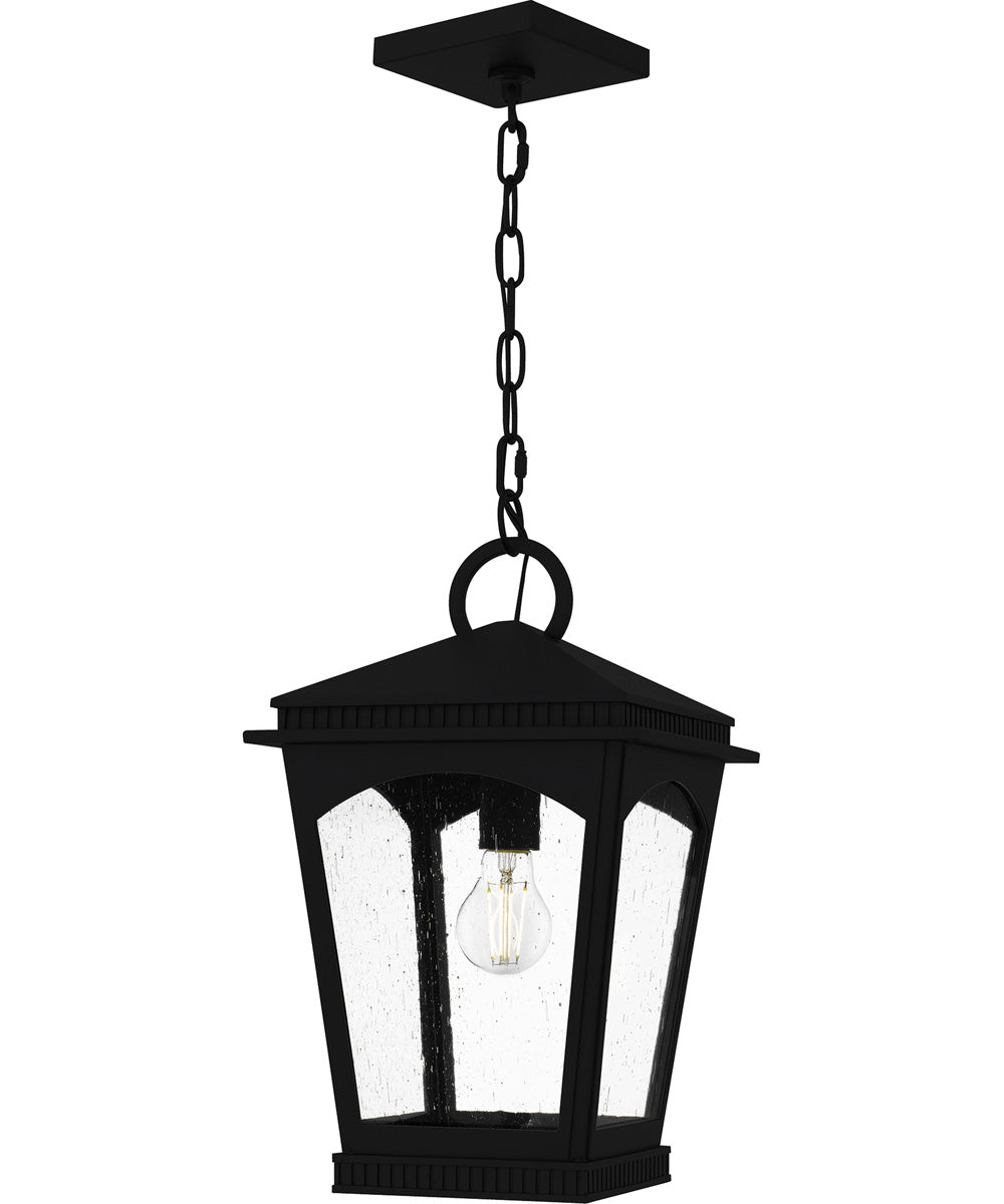 Huck Large 1-light Outdoor Pendant Light  Coastal Armour Aluminum Earth Black