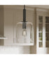 Reines 1-Light Pendant with Clear Glass Shade Matte Black