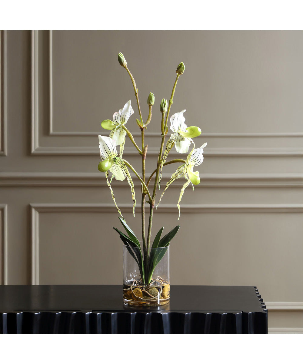 Lady Slipper Orchid In Glass Vase