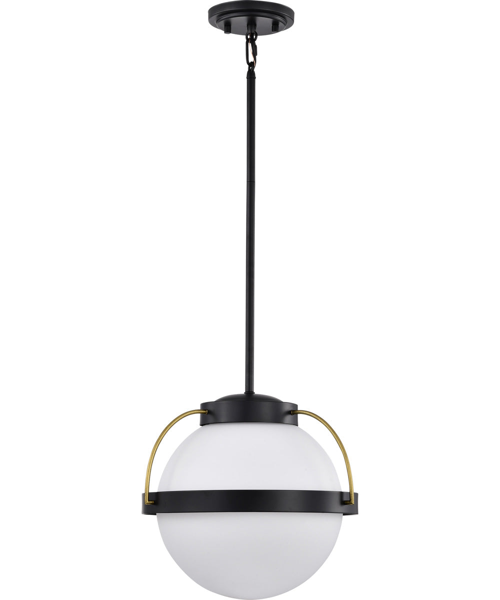 Lakeshore 1-Light Pendant Matte Black