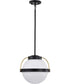 Lakeshore 1-Light Pendant Matte Black