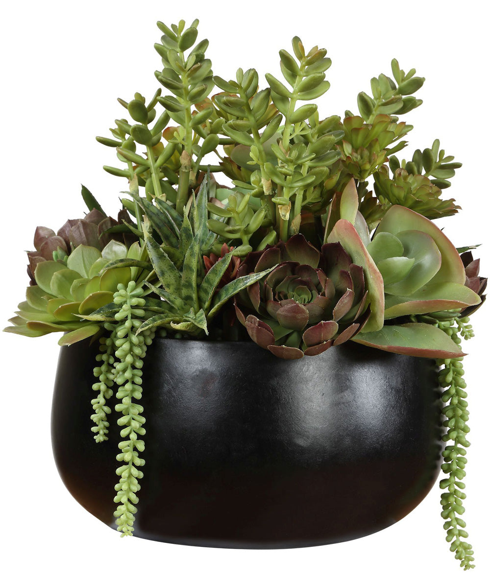 Mico Indoor-Outdoor Succulent Centerpiece